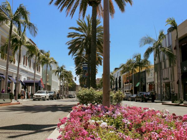 A sunny street lined with palm trees, storefronts, and cars; pink flowers bloom in a central median, creating a cheerful shopping district vibe.