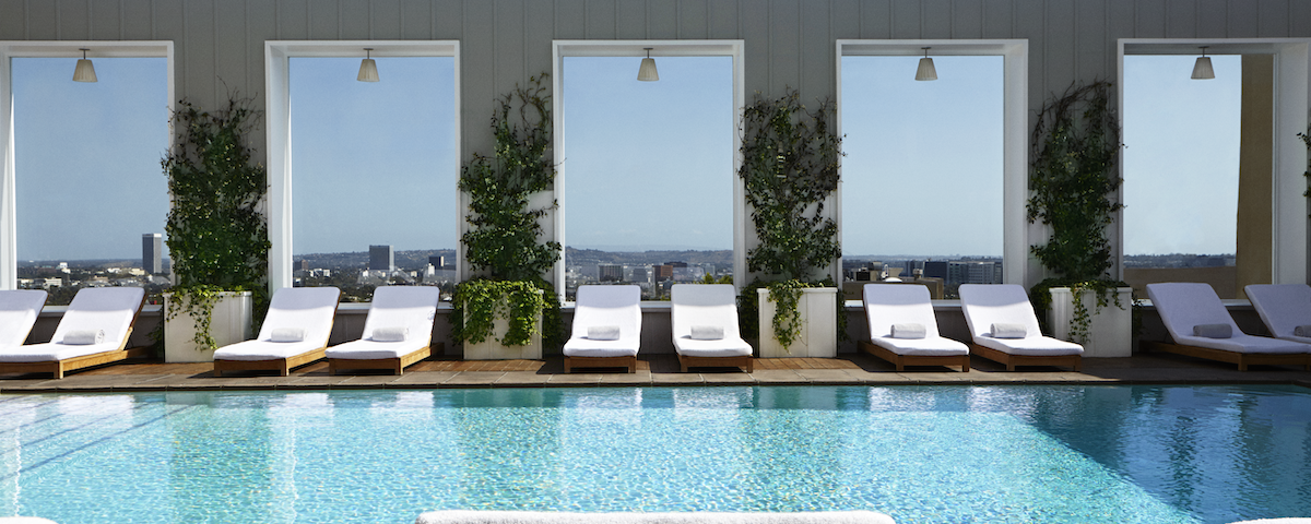 A sunny rooftop pool area with lounge chairs, potted plants, and large windows reflecting a cityscape beyond the pool.