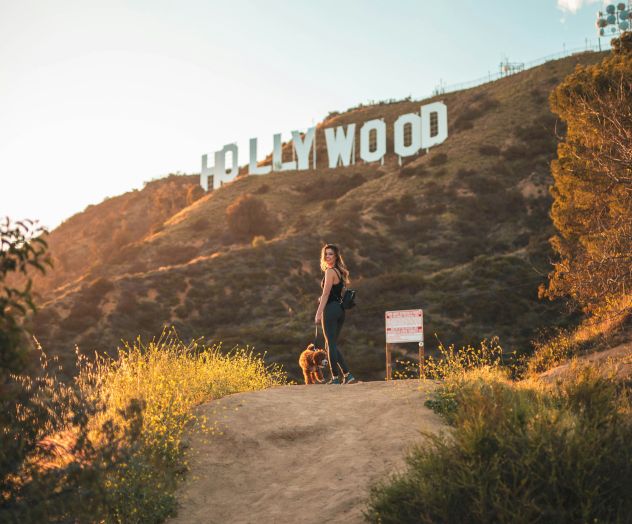 A person with a dog stands on a path near the Hollywood Sign atop a hillside at sunset, with shrubs lining the trail and blue sky.
