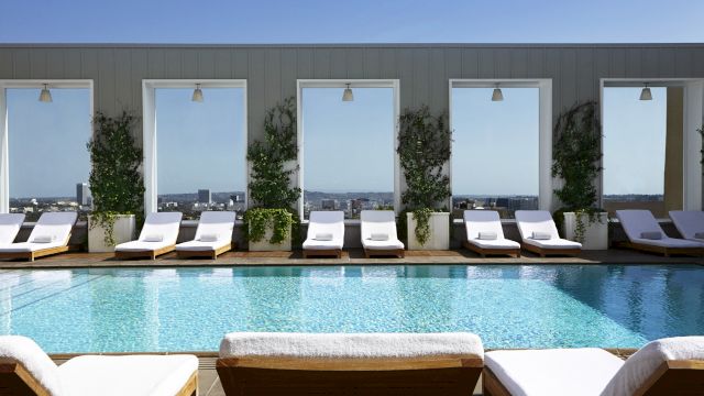 A rooftop pool scene with lounge chairs and tall potted plants along a row of windows, on a sunny day. 140 characters, ending with a period.